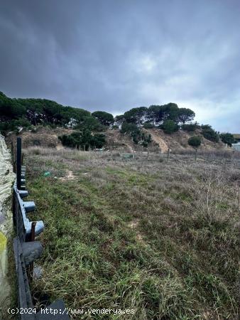 BUSCAS UNA PARCELA DONDE PASAR TUS RATOS LIBRE???? - CADIZ