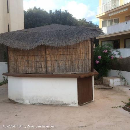 Local Restaurante en Zona Turística Canyamel, apto cualquier negocio - BALEARES