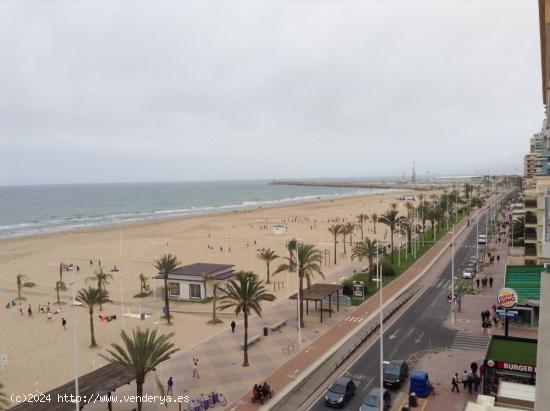 ALQUILER EN 1º LÍNEA EN LA PLAYA DE GANDÍA - VALENCIA