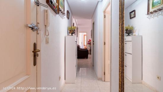 APARTAMENTO A 250 DE PLAYA DEL CURA. 3 DORM. PISCINA COMUNITARIA. (GARAJE+TRASTERO OPCIONAL) - ALICA