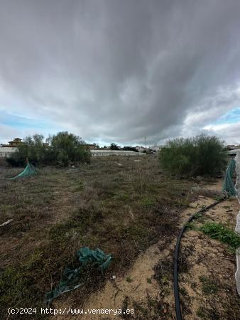 ESTUPENDA PARCELA RÚSTICA EN LA ZONA DE BONANZA - CADIZ