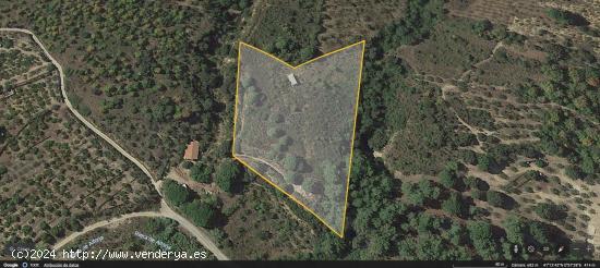 Terreno en venta en Riera de Alforja, Pol.3, Alforja - TARRAGONA