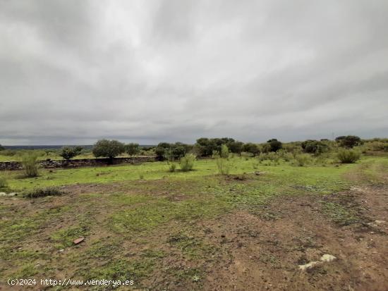 Finca 4´5 hect con agua en Botija - CACERES