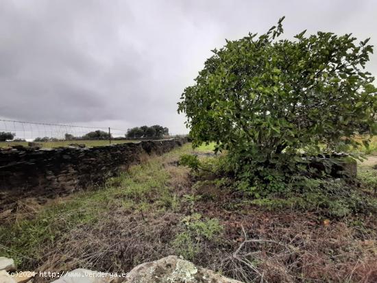 parcela a 1000 m2 con pozo al lado de Botija - CACERES