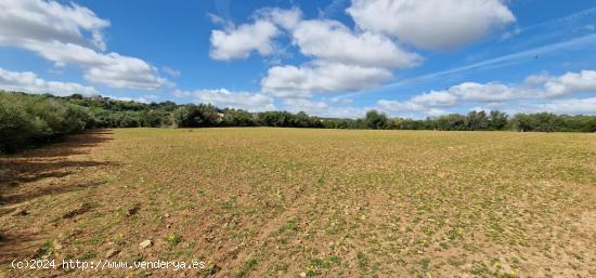 FINCA RUSTICA EN VENTA EN MANACOR - BALEARES