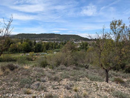 Finca rústica con posibilidad de construcción de vivienda - TERUEL