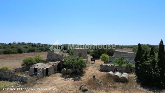  Se Vende en Muro - BALEARES 