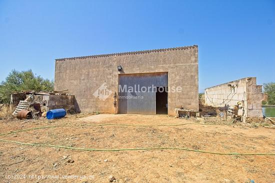 Se Vende en Muro - BALEARES