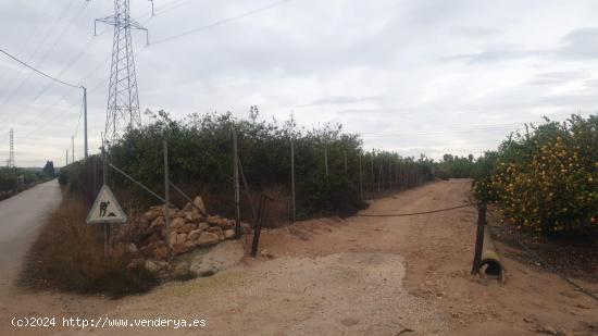 FINCA RUSTICA EN SAN MIGUEL DE SALINAS (ZONA LA MARQUESA) - ALICANTE