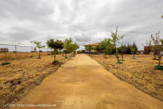 centro de adiestramiento y residencia canina a 25km de Guadalajara - GUADALAJARA