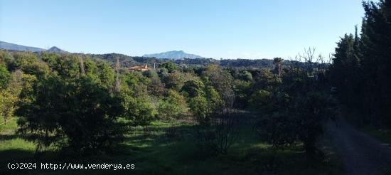  Terreno en venta en Estepona | CABANILLAS REAL ESTATE - MALAGA 