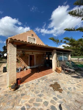  ENORME FINCA, CASA CON TERRENO A LAS AFUERAS DE ALGORFA - ALICANTE 