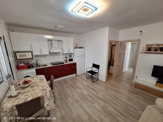 Bungalow en alquiler en Torrevieja (Alicante)