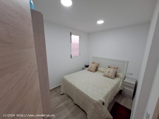 Bungalow en alquiler en Torrevieja (Alicante)