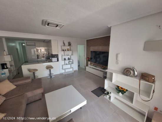  Apartamento en alquiler en Torrevieja (Alicante) 