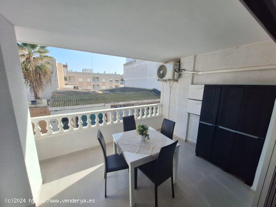 Apartamento en alquiler en Torrevieja (Alicante)