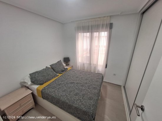 Apartamento en alquiler en Torrevieja (Alicante)