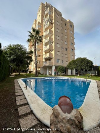  Apartamento en venta en Torrevieja (Alicante) 