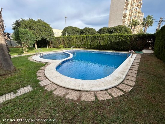 Apartamento en venta en Torrevieja (Alicante)