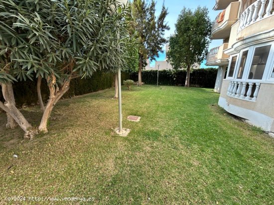 Apartamento en venta en Torrevieja (Alicante)