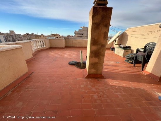 Apartamento en venta en Torrevieja (Alicante)