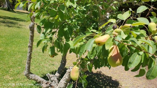  Finca en venta en Monda (Málaga) 