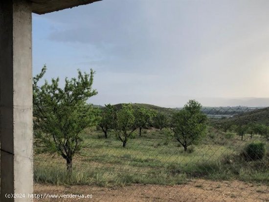 Suelo rústico en venta  en Hellin - Albacete