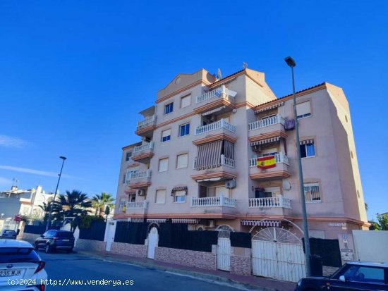  Piso en Venta en Torrevieja Alicante 