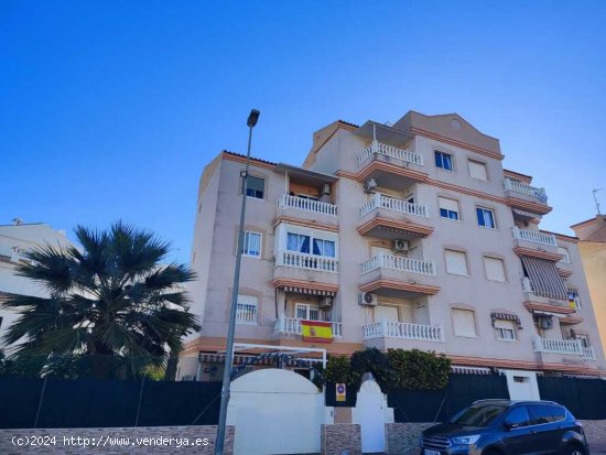 Piso en Venta en Torrevieja Alicante