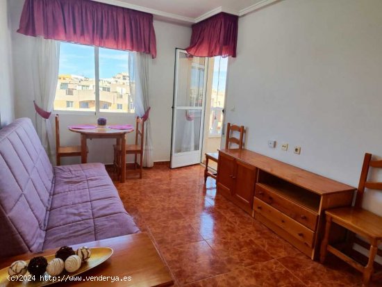 Piso en Venta en Torrevieja Alicante