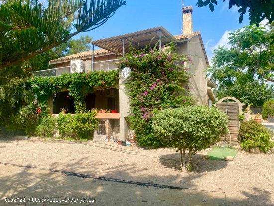 Casa pairal en Deltebre