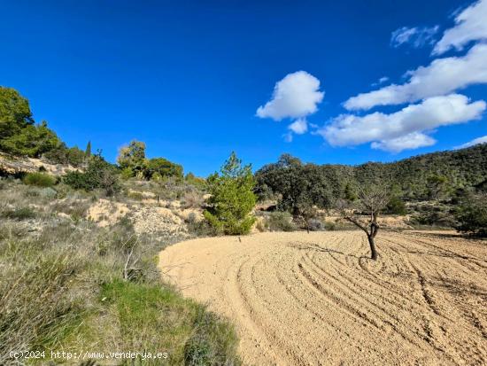 Finca en Monóvar - ALICANTE