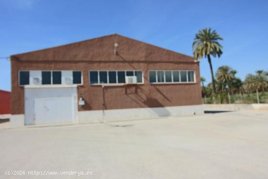 Gran Nave industrial a 2 min de Elche - ALICANTE