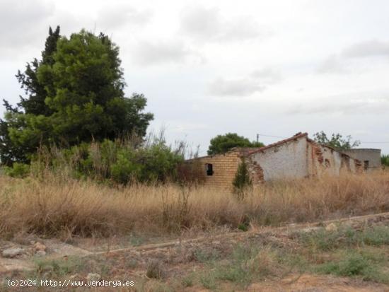  Finca rústica de regadio con caseta. - TARRAGONA 