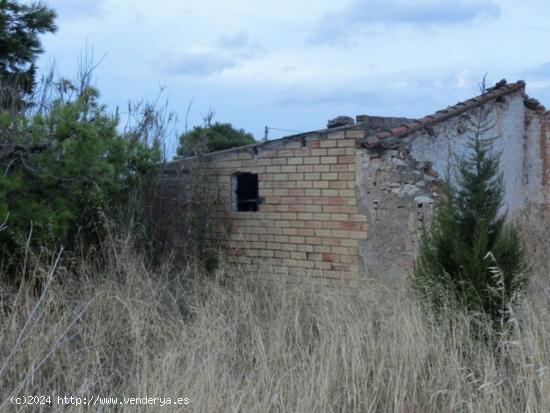 Finca rústica de regadio con caseta. - TARRAGONA