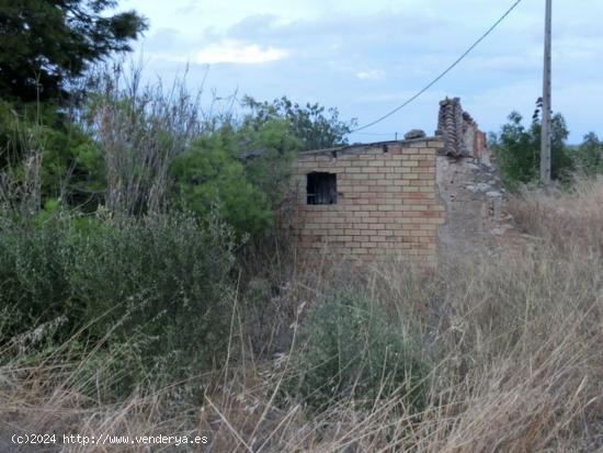 Finca rústica de regadio con caseta. - TARRAGONA