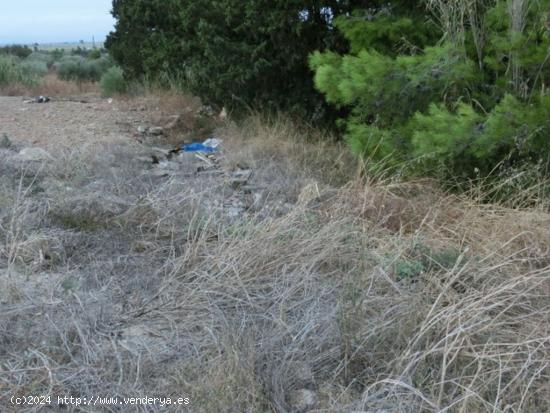 Finca rústica de regadio con caseta. - TARRAGONA