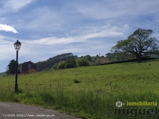 Se vende parcela edificable con preciosas vistas, en Ribadedeva - ASTURIAS