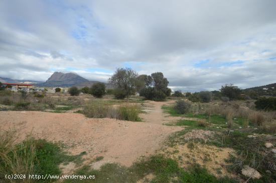  SE VENDE SUELO URBANIZABLE USO TERCIARIO/TURISTICO/INDUSTRIAL - ALICANTE 