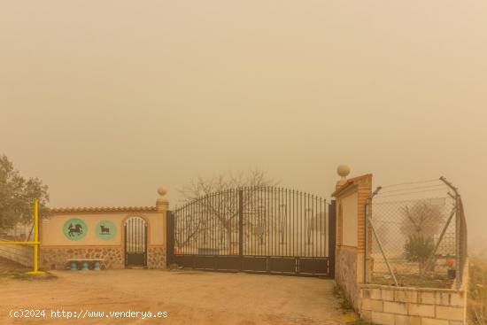 FINCA RUSTICA SITUADA A MENOS DE 700 m DE AÑOVER DE TAJO - TOLEDO