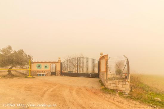 FINCA RUSTICA SITUADA A MENOS DE 700 m DE AÑOVER DE TAJO - TOLEDO