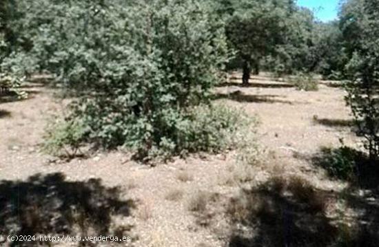 Urbis te ofrece un terreno en Puebla de Yeltes, Salamanca - SALAMANCA