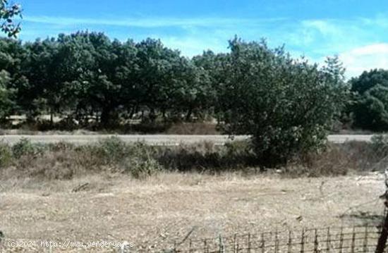 Urbis te ofrece un terreno en Puebla de Yeltes, Salamanca - SALAMANCA