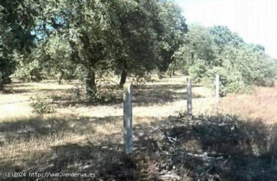 Urbis te ofrece un terreno en Puebla de Yeltes, Salamanca - SALAMANCA