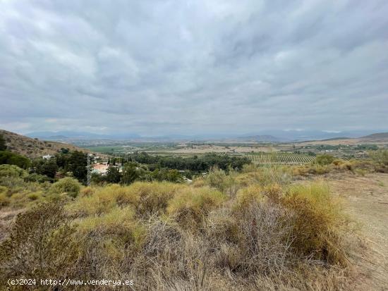 FINCA DE 7HECTAREAS Y MEDIA  , EN CARTAMA- PIZARRA.- MALAGA - MALAGA