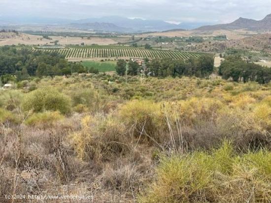 FINCA DE 7HECTAREAS Y MEDIA  , EN CARTAMA- PIZARRA.- MALAGA - MALAGA