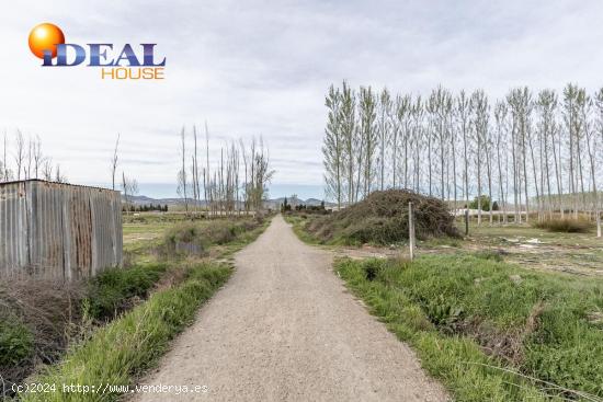 PARCELA DE 5 MARJALES CON POZO ENTRE FUENTE VAQUEROS Y CIJUELA - GRANADA