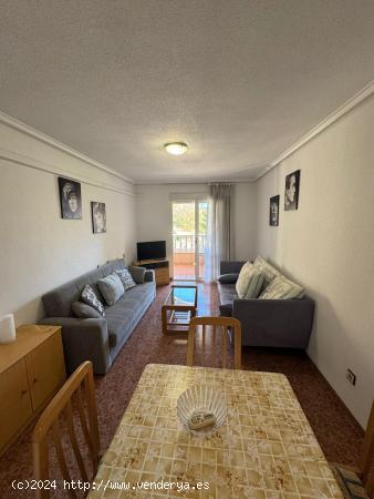  Apartamento de 2 Habitaciones con vistas al Parque de las Naciones. - ALICANTE 