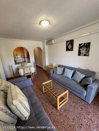 Apartamento de 2 Habitaciones con vistas al Parque de las Naciones. - ALICANTE