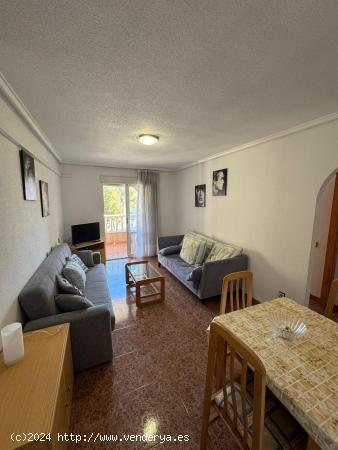 Apartamento de 2 Habitaciones con vistas al Parque de las Naciones. - ALICANTE